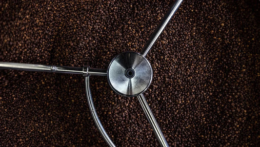 How to choose the best coffee beans - Australia - Di Pacci