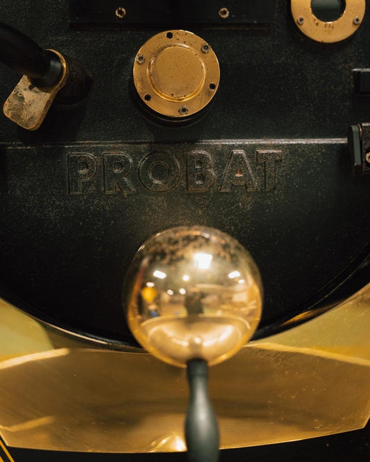 Brand New PROBAT P12 Commercial Coffee Roaster 12kg Gas