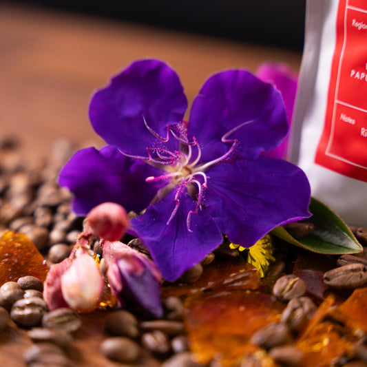 Elements Blend 1kg Medium Roast Coffee Beans