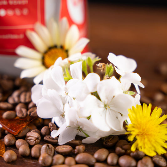 Elements Blend 1kg Medium Roast Coffee Beans