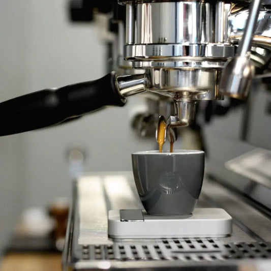 Acaia Lunar Scale - WHITE - Australia - Di Pacci