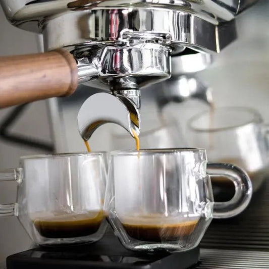 Ascaso Baby T Plus Coffee Machine - Australia - Di Pacci