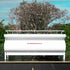 Beautiful Late Model La Marzocco Strada AV Commercial Coffee Machine - Australia - Di Pacci