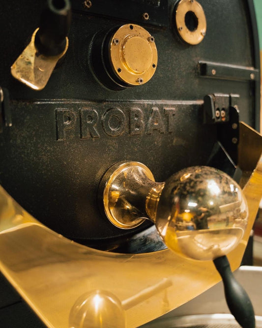 Brand New PROBAT P12 Commercial Coffee Roaster 12kg Gas