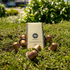 Dipacci Coffee Specialty Blend Pods - Capsules - Australia - Di Pacci