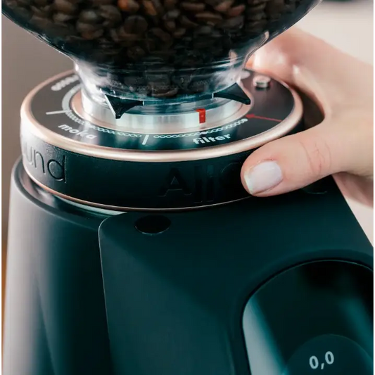 Fiorenzato All Ground - Home Grinder - ALL