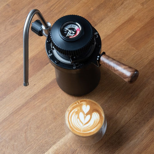 Flair Wizard Steamer (back order late Feb 2026) - Australia - Di Pacci