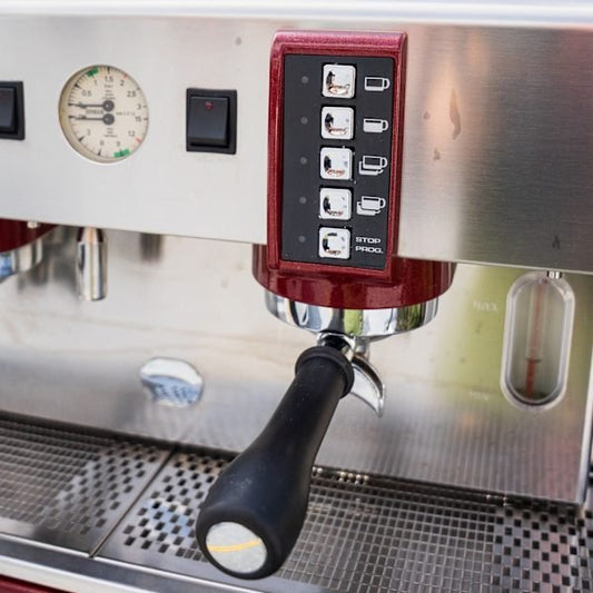 Immaculate 2 Group Wega Atlas EVD – Burgundy - Australia - Di Pacci