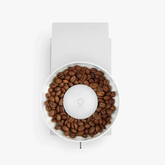 Opus Conical Burr Grinder - Australia - Di Pacci
