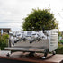 Pre Loved 2 Group Black Eagle Commercial Coffee Machine - Australia - Di Pacci