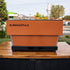 Pre Loved La Marzocco Linea Classic Tall Cup Caramel - Australia - Di Pacci