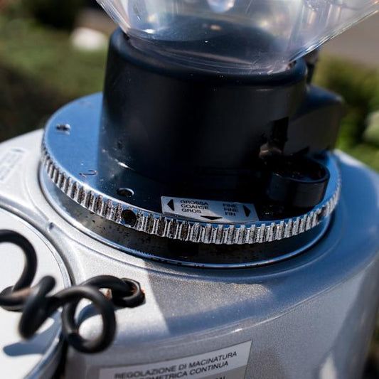 Pre Loved Mazzer Robur Electronic Silver New Burrs - Australia - Di Pacci