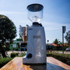 Pre Loved Mazzer Robur Electronic Silver New Burrs - Australia - Di Pacci