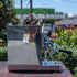 Pre Loved Pecision Bella Espresso Coffee Machine - Australia - Di Pacci