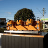 Pre - Loved Synesso S300 – Fire Orange – Fully Serviced & Ready to Go - Australia - Di Pacci