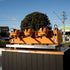 Pre - Loved Synesso S300 – Fire Orange – Fully Serviced & Ready to Go - Australia - Di Pacci