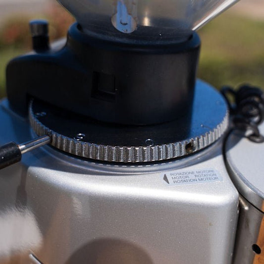 Second Hand Mazzer Major Electronic Coffee Grinder - Australia - Di Pacci