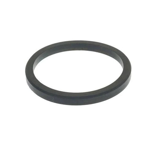 Bezzera BZ10 Seal